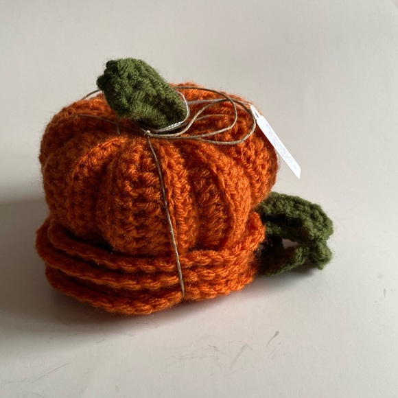 Handmade Pumpkin And Pumpkin Coasters - Picture 1 of 3